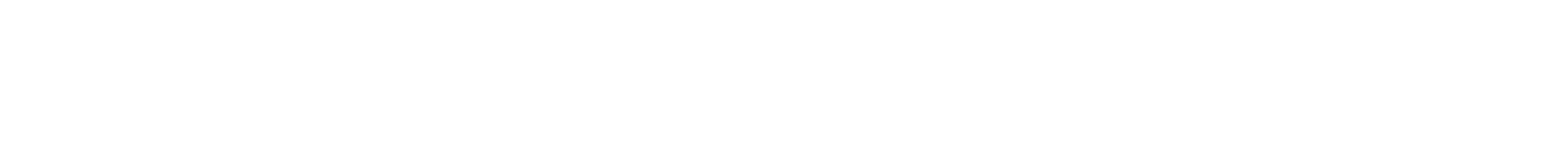 logo - wide - white
